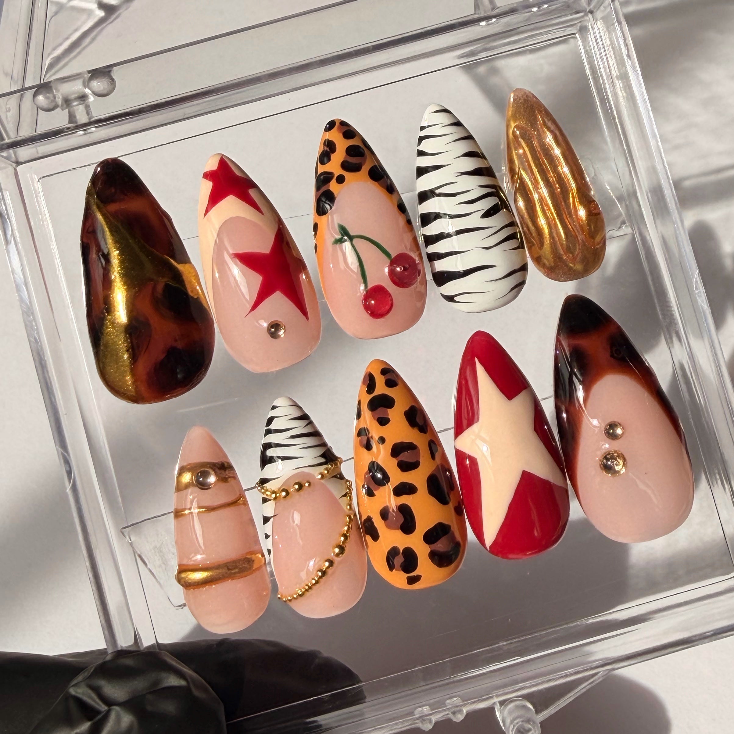 Set of nails cheetah print, zebra print, stars, tortoise shell print art designs in a clear display case